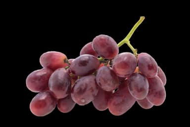 Grapes
