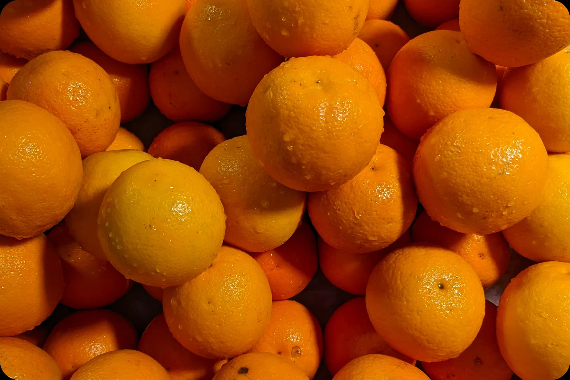 Washing, waxing & grading